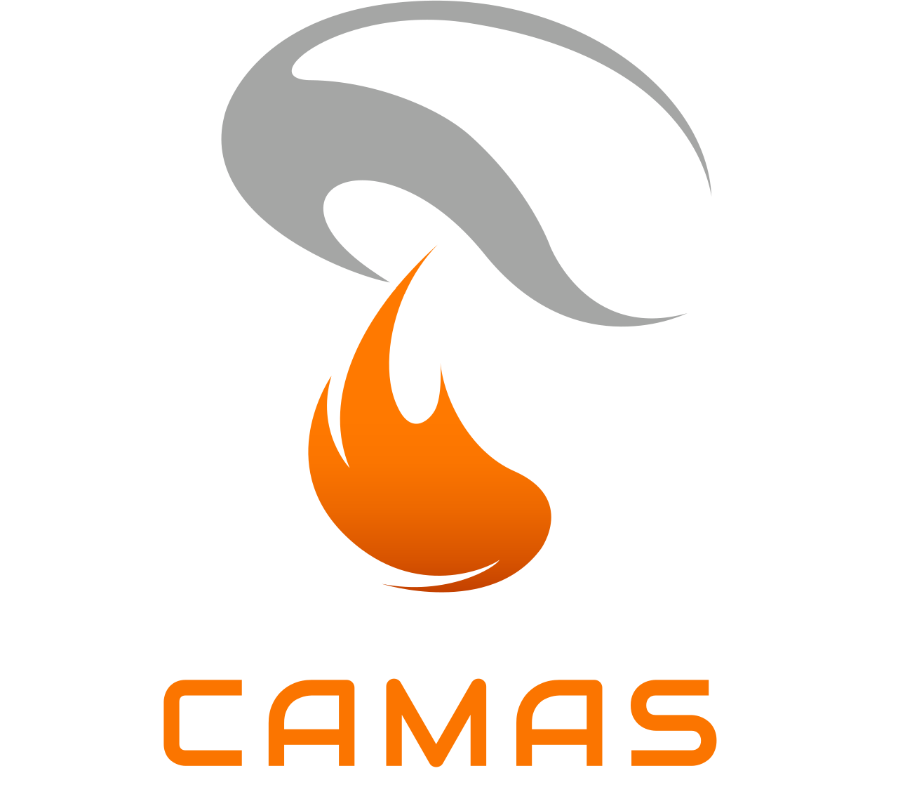 CAMAS Fire & Life Safety Assessments Ltd